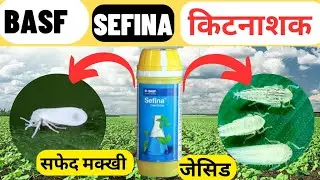 BASF Sefina Insecticide Full Details ll सैफीना किटनाशक क्या है ll Afidopyropen 50% DC Details ll