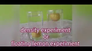 floating lemon experiment| experiment of density using lemon|science experiment |density experiment