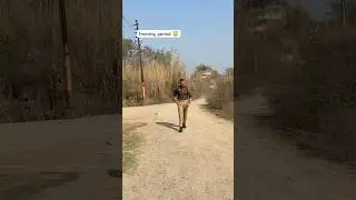 Up police 🚨🚓 #ytshorts#youtubeshorts  #uppolice#motivation #upsiupdate#rwasammansmaroh #rwa#short
