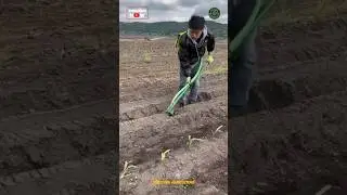 Seed Sowing & Fertilizing Hand Tool