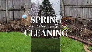 Spring Cleaning 2022: The Essential To Bring Life to Every Plant
