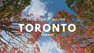 First days of autumn Toronto, Canada VLOG | cafe hopping | shopping | exploring neighborhoods