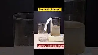 Simple and amazing science experiment to do at home/#easyscienceexperiment #viralshort #shorts