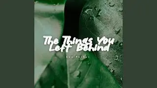 The Things You Left Behind