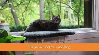 K&H Kitty Sills - Supportive Cat Window Perches