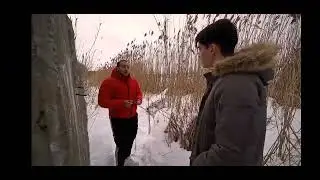 Max Fan 331