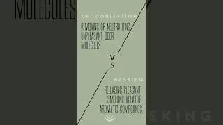 Deodorization vs Masking Pt 1