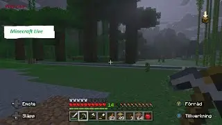 Minecraft play day 19-27