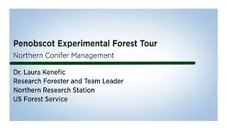 Penobscot Experimental Forest Tour