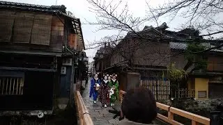 令和二年【祇園甲部】始業式後の挨拶回り 舞妓 芸妓 #花街 #Maiko #Geiko #Gion