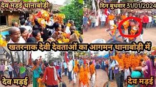 देव मड़ई थानाबोड़ी 2024 || देवी देवताओं का मेला थानाबोड़ी 2024 || थानाबोड़ी में देवी देवता मेला