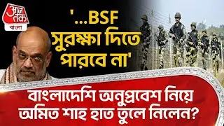 '...BSF সুরক্ষা দিতে পারবে না', Bangladeshi infiltration নিয়ে Amit Shah হাত তুলে নিলেন? BJP | PN