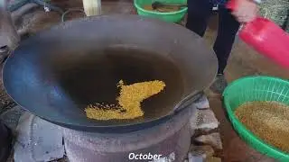 HMONG FARMER IN GA ,2020(Ua mov nplej tshiab)