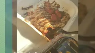 20170301 013901 84199937375288