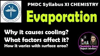 Evaporation | Why it causes Cooling? | Factors affecting it | XI Chemistry | Liquid State