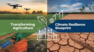 Transforming Pakistan's Agriculture: A Blueprint for Climate Resilience and Global Leadership 🌱🌍