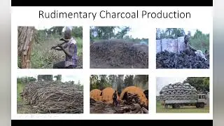 Sustainability Seminar Series:  Beyond Energy and Emissions: The Global Charcoal Supply Chain