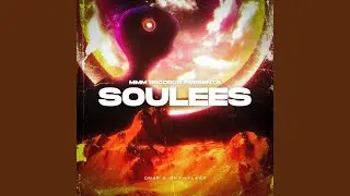 LEESOUL (LESS OF A SOUL)