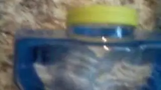 nomi1