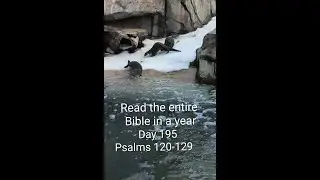 Read the entire Bible in a year Day 195 - Psalms 120-129