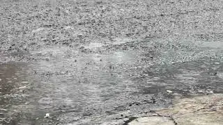 Sleep Better: Gentle Rain Sounds 