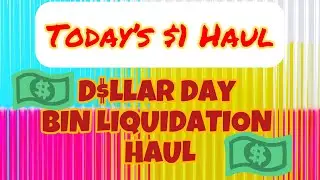 This week&rsquo;s $1 Day Bin Store Haul Daddy&rsquo;s Treasure Chest  is live!