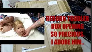 REBORN TODDLER BOX OPENING.💙LIAM BY BONNIE BROWN REBORNED BY REBORNS BY ZEBRA.🦓