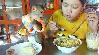 Baby Monkey Mori Eat Breakfast With Mom, Mori Enjoy Her Food