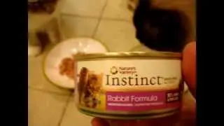 Nature's Variety Instinct Canned Cat Food Product Reviews - ねこ - ラグドール - Floppycats