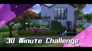 I tried a 30 minute build challenge