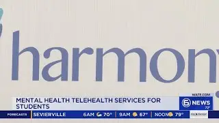 Student mental health telehealth services expanding in Knox County
