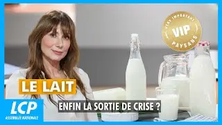 Le lait, enfin la sortie de crise ? | VIP Very Important Paysans