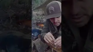 Making a Birchbark Container that holds water. | How to bend Birch.