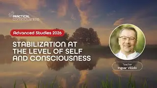 Stabilization at the Level of Self and Consciousness &ndash; Ingvar Villido