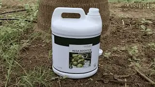 Rajshree MEGA BOOSTER for Coconut Trees| Multi-Micronutrient Liquid for Healthy Growth, Higher Yield