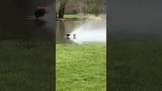 RC Car batteries die while driving on TOP of the water 😅 #rccar
