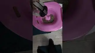 Yoni Steam Ritual