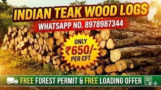 #INDIAN TEAK WOOD LOGS WITH FOREST PERMIT FOR SALE 