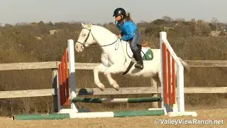 Silver - English over fences! - ValleyViewRanch.net