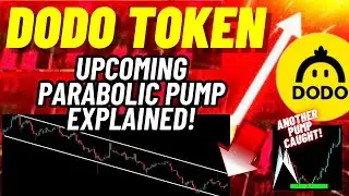 Upcoming Parabolic Pump Of DODO Token Explained!