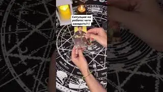 Таро: Как разрешится ситуация на работе? #тарорасклад #tarot #tarotcard #работа #финансы