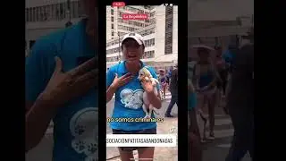 , ayuda a refugio en peligro abuso de autoridad#refugiodeanimales #refugio #puppy #pets #pomeranian