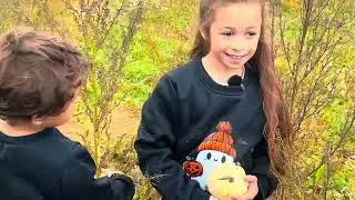 Country Roads, Autumn Colours & Pumpkins, A Perfect  Family Day Out