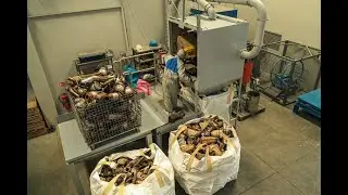 Traitement et recyclage de catalyseurs automobiles usag&eacute;s