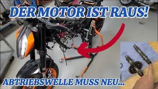 KTM 790 DUKE DER MOTOR MUSS RAUS TEIL 2 | BLAUM MOTORRADTECHNIK