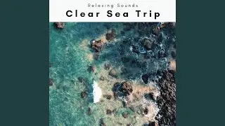 Clear Beach Trip for Total Relax
