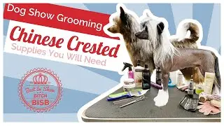 Dog Show Grooming: How To Groom a Chinese Crested and the Supplies You Need
