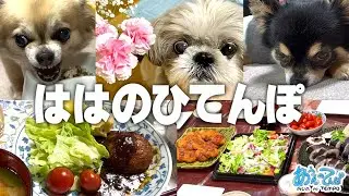 【アテレコ】ははのひてんぽ〜サラダパンを添えて〜