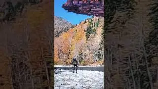 Не купайтесь тут #news #trending #reels #Shorts short #shorts #shortvideo #memes