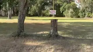 Oppostion To Wildflowers Music Park Signs